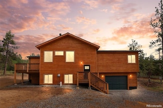 132 Paul's Ln, Bailey, CO 80421