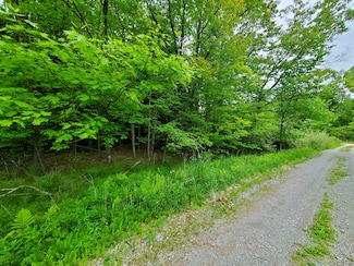 V/L E Arthur Rd, Rothbury, MI 49452
