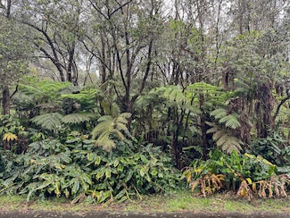 11-3820 5th St, Volcano, HI 96785