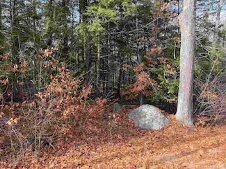 Map 29 Lot 5-1 Middleton Rd, Milton, NH 03851
