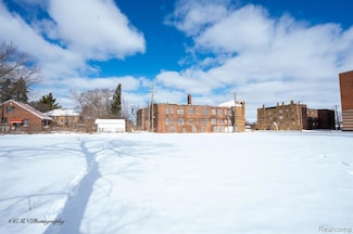 13515 Greiner St, Detroit, MI 48205