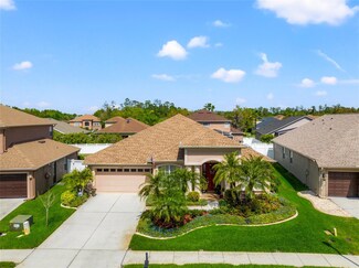 27053 Palmetto Bend Dr, Wesley Chapel, FL 33544