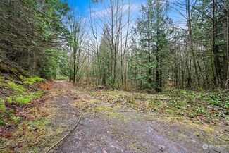 0 S Pass Rd Unit NWM2236490, Sumas, WA 98295
