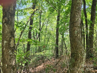 Lot 117, 118, & 132 Summit Ct, Lake Lure, NC 28746