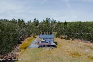 656 White Roe Lake Rd, Livingston Manor, NY 12758