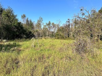 TBD SE 33rd Terrace, Summerfield, FL 34491