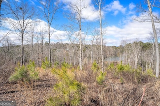 LOT 163 Lecroy Dr, Ellijay, GA 30540