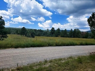 10 Young Rd, Tijeras, NM 87059