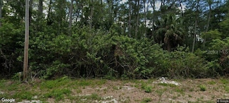 668 Knapp St, Lehigh Acres, FL 33974