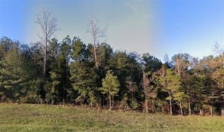 LOT 8 - TBD 28 Hwy W, Boyce, LA 71409