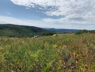 26865 Neptune Place, Clark, CO 80428