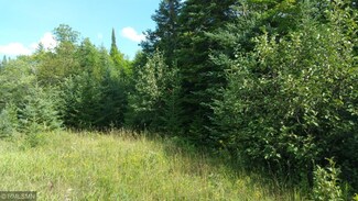 Parcel B W Mud Lake Rd, Lakeview Township, MN 55798