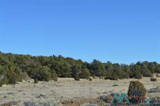 TBD Sierra de Manana Dr, Candy Kitchen, NM 87357