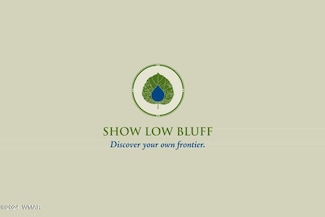 1041 S Lorenzo Sitgreaves Dr, Show Low, AZ 85901
