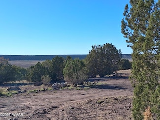 68 N 8171 Unit Lot D, Concho, AZ 85924