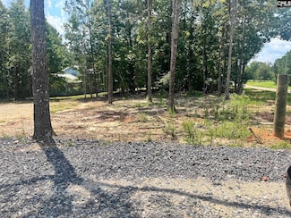 1230 Caughman Acres Rd, Leesville, SC 29070