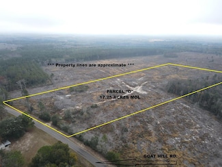 17.25 Acres Goat Hill Rd, Samson, AL 36477
