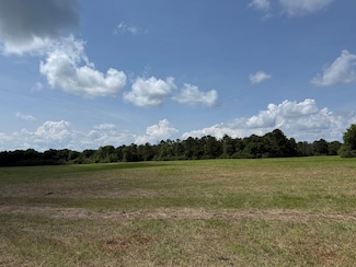 0 County Road 50, Moundville, AL 35474