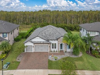 6126 Marsh Trail Dr, Odessa, FL 33556