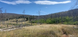 1547 Cary Ln Unit 1547,1548, Fort Garland, CO 81133