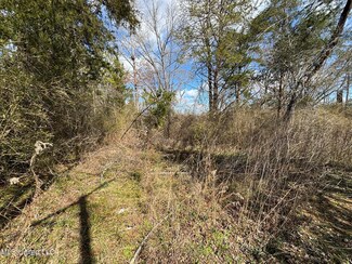 0 Dunn Rd Unit 4102742, Terry, MS 39170