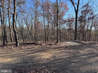 0 Young Ln Unit 9, Berkeley Springs, WV 25411