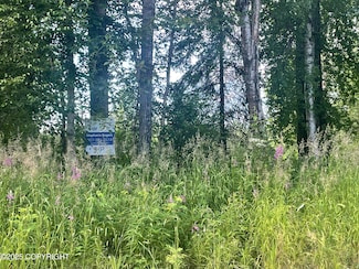 20657 W River Aire Dr, Willow, AK 99688