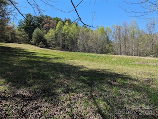 TBD Jaybird Ln, Flat Rock, NC 28731