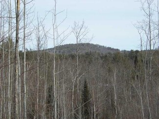 Lot 1A Spring Rd, Newfield, ME 04056