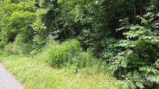 830 Cove Creek Ln, Weaverville, NC 28787