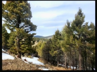 TBD Copper Cross #3969 Moffett Gulch Rd, Divide, MT 59743
