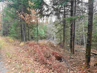 35 Langway Rd, Lyman, NH 03585