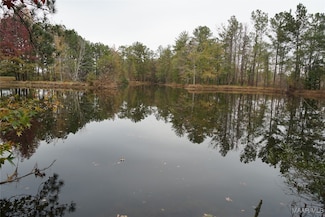 2644 Nixon Rd, McKenzie, AL 36456