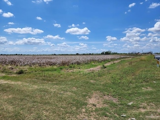 0 N Farm To Market 493, Monte Alto, TX 78537