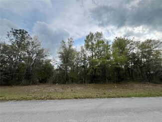 TBD SW 133rd Lane Rd, Dunnellon, FL 34432