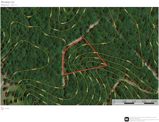 000 County Road 417, Ellington, MO 63638