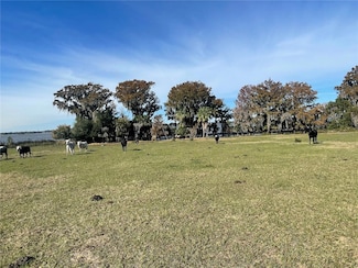 0 Georgia Ave Unit MFRO6167447, Astatula, FL 34705