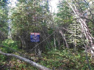 1 Mile Phillips Rd, Delta Junction, AK 99737