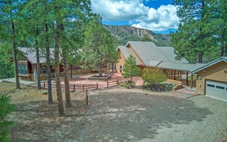 242 La Tierra Ct, Pagosa Springs, CO 81147