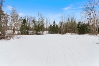 13398 Chapman Corners Rd, Red Creek, NY 13143
