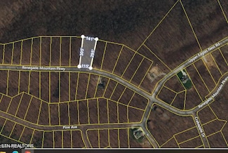 0 Renegade Mountain Pkwy Unit 1280993, Crab Orchard, TN 37723