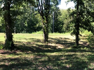3 W Greenbriar Ln, Adamsville, TN 38310