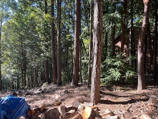 27178 Bear Dr, Brooktrails, CA 95490