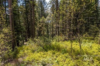 40 Arling Place Trial, Cascade, ID 83611