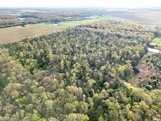 000 Bailey Rd, Tonti Township, IL 62881
