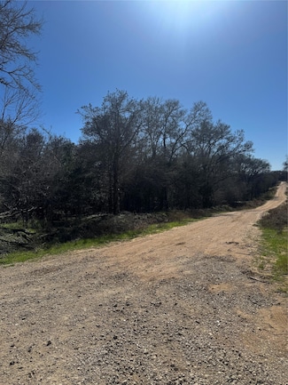 Lot 321 Nene Ln, Bastrop, TX 78602
