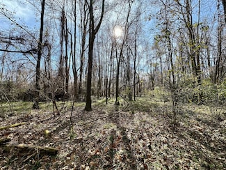 0 Perry Town Rd, Crosby, MS 39633