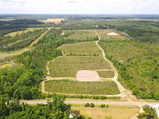 0 Sinai Rd, Sneads, FL 32460