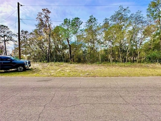 TBD SW 155th Street Rd, Ocala, FL 34473