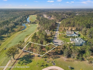 20132 English Walnut Place, Brooksville, FL 34601